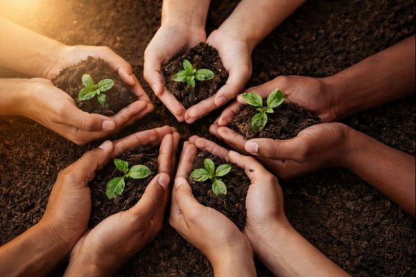 about volunteer